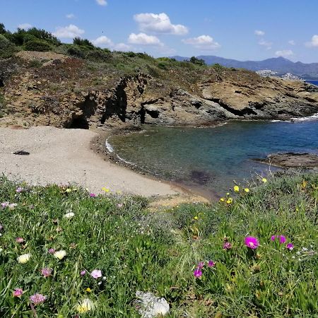Casa Platja D'En Robert Villa El Port De La Selva Kültér fotó